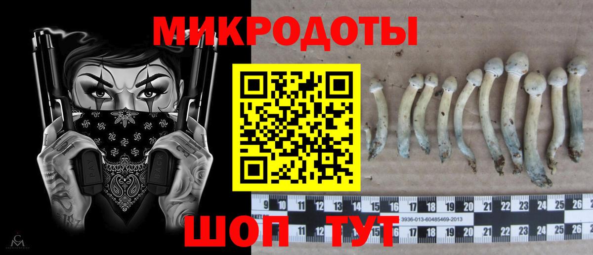 Пенза  Галлюциногенные грибы Magic Shrooms  наркота  Вход с VPN  Галлюциногенные грибы GOLDEN TEACHER 