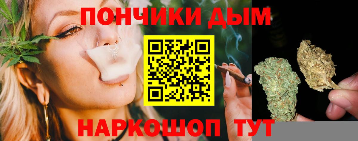 Канабис планчик  Вход с VPN  Пенза  Марихуана Amnesia  Марихуана семена 